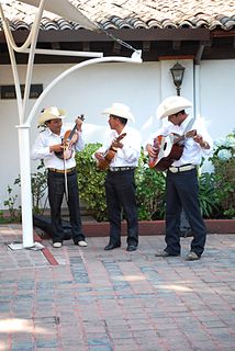 Huapanguera Mexican musical instrumental