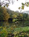 Teichgewässer des Weiler Baches, Ortsrand Fischenich