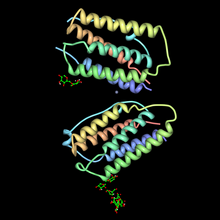 menschliches Interferon beta