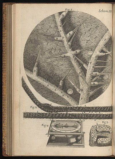 Hygromètre, Hooke, 1665.