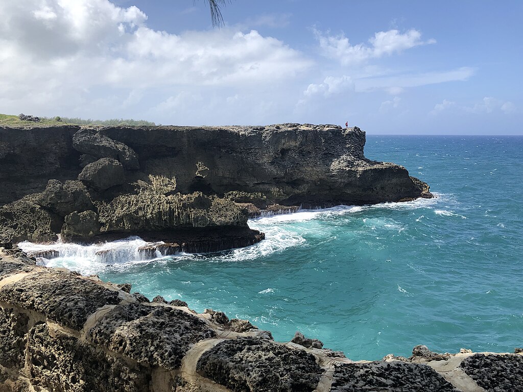 Les Pays - Barbade 1024px-Imageanimalflowercave