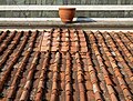 * Nomination On the roof of the Florence Cathedral, terracotta is put in the sun to get a weathered appearance before it's needed as a replacement --Rhododendrites 15:20, 30 October 2023 (UTC) * Promotion  Support Good quality. --Ermell 21:28, 30 October 2023 (UTC)