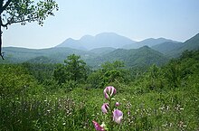 Tipico paesaggio irpino