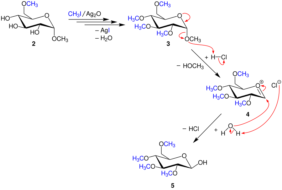 Irvine-Purdie-Methylierung Mechanismus C V1.svg