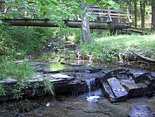 The Bee Lick Creek, of the Jefferson Memorial Forest, was designated as a National Audubon Society wildlife refuge. Jefferson Memorial Forest-Bee Lick Creek.jpg