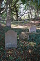 Jüdischer Friedhof Altwiedermus