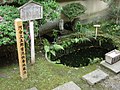 2005年7月20日 (水) 13:37時点における版のサムネイル