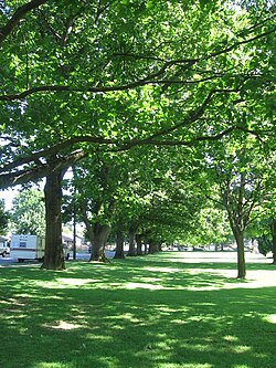 Kenton Park (Portland, Oregon).jpg