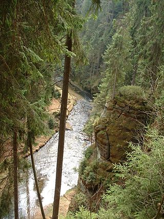 <span class="mw-page-title-main">Kirnitzsch</span> River in Germany