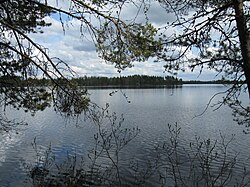 Järveä länsirannalta itään päin nähtynä.