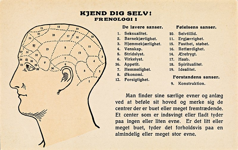 File:Kjend dig selv! Frenologi I.jpg