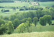 Landschaft bei Lacaune