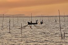 Laguna de Rocha, Rocha, Uruguay, snap.jpg