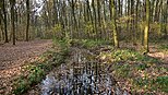 Het water van de Onze-Lieve-Vrouwebron in de oude bedding van het Asbeekkanaal