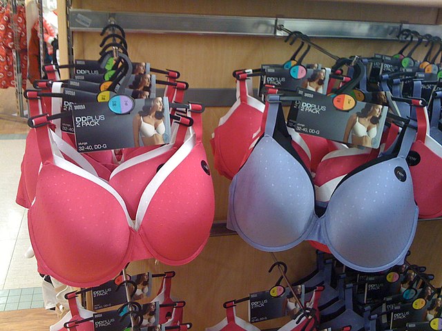 https://upload.wikimedia.org/wikipedia/commons/thumb/8/8e/Large-sized_bras_on_sale.jpg/640px-Large-sized_bras_on_sale.jpg