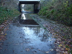 Large puddles on the Fallowfield Loop after overnight rain