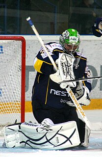 Lars Volden Norwegian ice hockey player