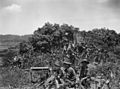 A Vickers medium machine gun team providing supporting fire for patrols from D Company, 2/23rd Battalion during the fighting for Tarakan Hill on 2 May 1945