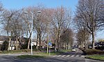 Boomrijke straat Langendaal