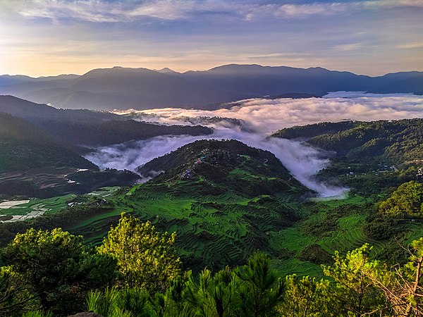 Image: Maligcong Rice Terraces