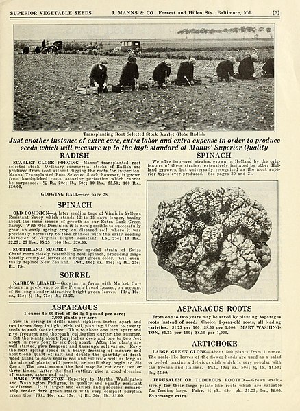 File:Manns' superior seeds (16390020665).jpg