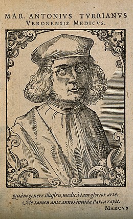 Marc Antonio della Torre (Turrianus). Woodcut by T. Stimmer, Wellcome V0005856.jpg
