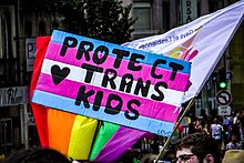 Pancarte en carton aux couleurs du drapeau trans sur laquelle est écrit le texte Protect trans kids