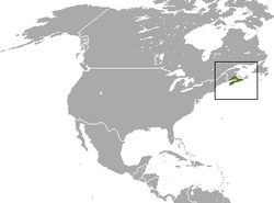 Maritime Shrew area.png
