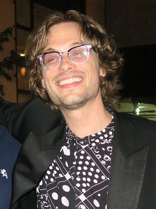 Gubler in 2017