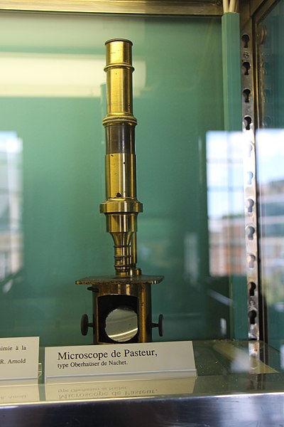 File:Microscope Oberhauser de Pasteur.jpg