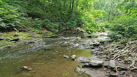 Mill Creek lower Merion