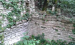 Ruderi dell'antica Chiesa di San Chiodo nel bosco