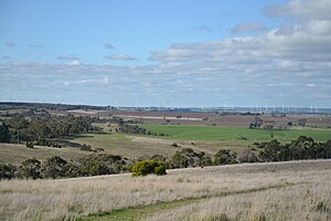 Mt Mercer wind farm 600 2883.JPG