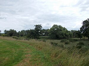 United Mulde Eilenburg nature reserve - Bad Düben (June 2014)