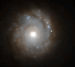 NGC 2566