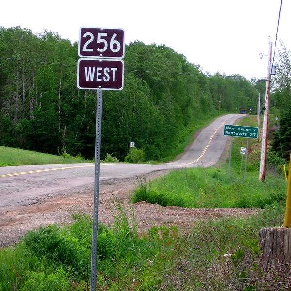 File:NSRoute256.png