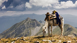 Peak Krcin, part of the Mavrovo National Park © MartinDimitrievski