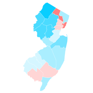 New Jersey County Swing 2020.svg