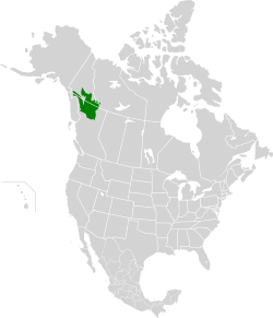 יערות קורדילרה הצפוניים map.svg