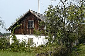 Nowinki (Storpolen)