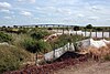 Occidental jetty and reed beds at Canvey Wick.jpg