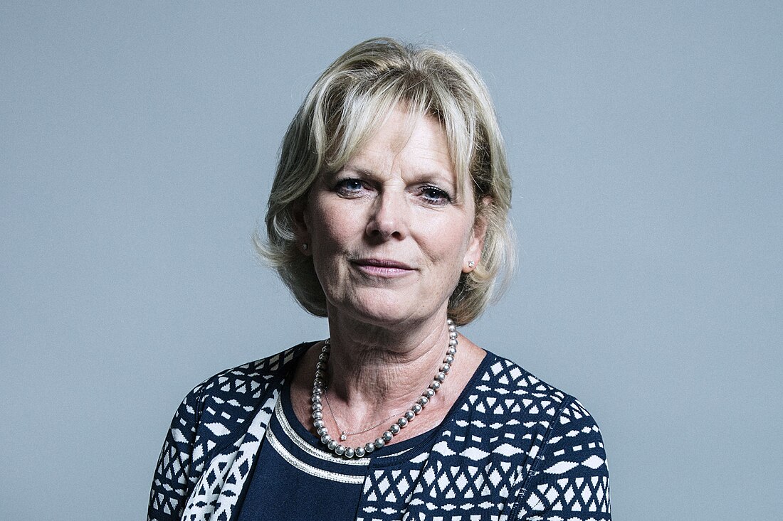 File:Official portrait of Anna Soubry crop 1.jpg