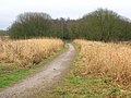 The old 1774 Toll Road looking towards the Drukken Steps from the old Long Drive