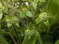 2018年5月14日 (月) 13:34時点における版のサムネイル