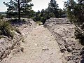 Oregon shtatidagi Trail Ruts