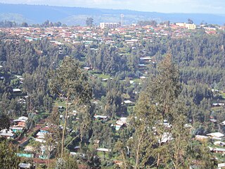 <span class="mw-page-title-main">Shambu</span> Town in Oromia Region, Ethiopia