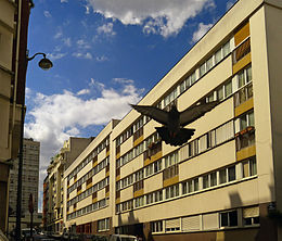 A Rue Janssen cikk illusztráló képe