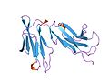 Hình xem trước của phiên bản lúc 05:45, ngày 17 tháng 2 năm 2009