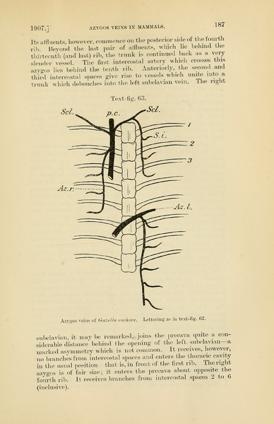 File:PZSL1907Page187.png