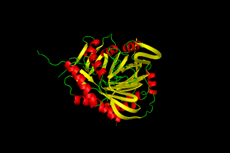 Aminodeoxychorismate synthase